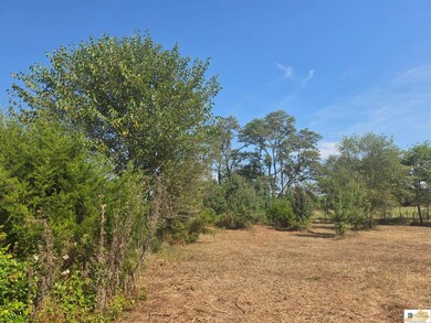 2485 Palestine Rd, Campbellsville, KY 42718 - photo 6