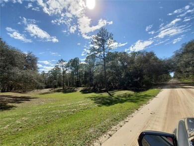 WOODED AREA IN THE PICTURE AROUND THE DRA