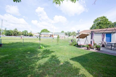 539OldTreeP(5)