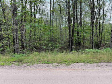 42 Huttwil Dr unit C172, Madison, NH 03849 - photo 2