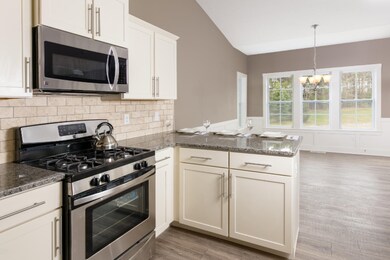 Kitchen ACP001-Devonshire-7