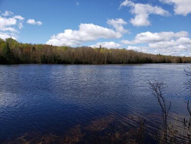 End of Sanctuary Rd, Tomahawk, WI 54487 - photo 2