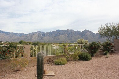 Rear yard 2
