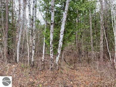 Lot 9 Rivershore Dr unit 9, Elk Rapids, MI 49629 - photo 5