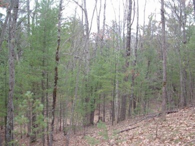 Dexter Rd. 16