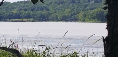 The shoreline