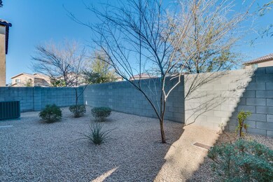 Camelback-038
