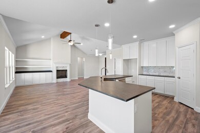 170 Jupiter Trail, Weatherford, TX 76088 - photo 4