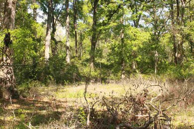 212 Sam Smith Cir, Crawfordville, FL 32327 - photo 7