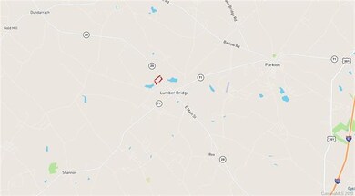 23 Acres N Carolina 20, Lumber Bridge, NC 28537 - photo 7