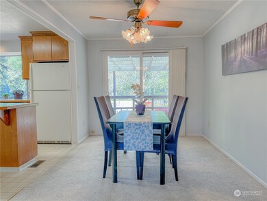 5219 95th Avenue Ct W, University Place, WA 98467 - photo 5