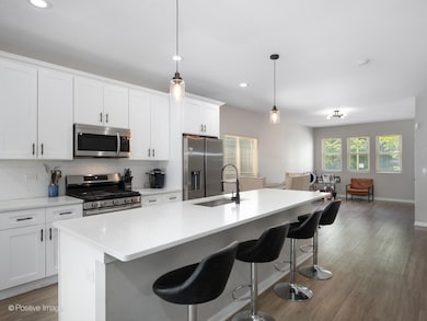 4243 S Princeton Ave, Chicago, IL 60609 - photo 4