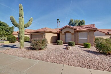 Saguaro Cactus