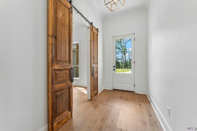 9085 Hillon Hood Rd, Denham Springs, LA 70726 - photo 3