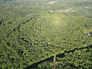 DJI_0449