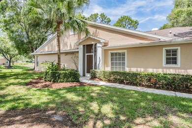 4504 Connery Ct, Palm Harbor, FL 34685 - photo 2