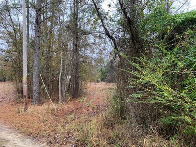 1060 Hideout Dr, Manning, SC 29102 - photo 3