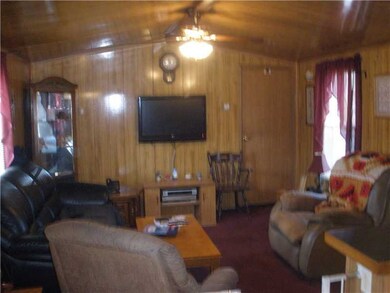 Living Room. Cathedral Ceiling
