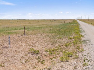 Tbd County Road 115 Lot unit WP001, Rye, CO 81069 - photo 2