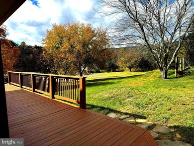 1481 Battlefield Rd, Strasburg, VA 22657 - photo 4