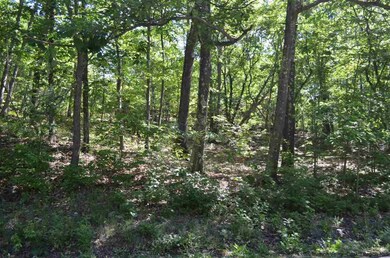 0 North Rd, Milan, NY 12571 - photo 2