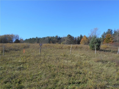 4738 Roszyk Hill Lot #1 Rd, MacHias, NY 14101 - photo 4