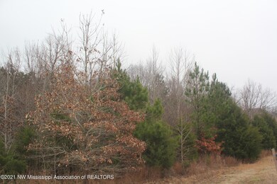 78 Bennett Cir, Byhalia, MS 38611 - photo 2