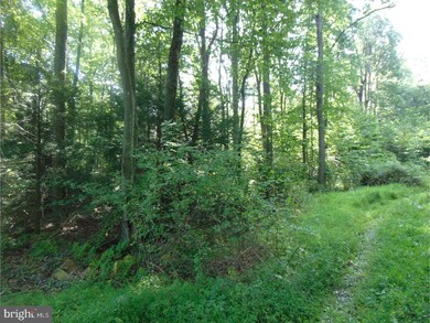 0 Indian Run Rd unit 1001243297, New Ringgold, PA 17960 - photo 3