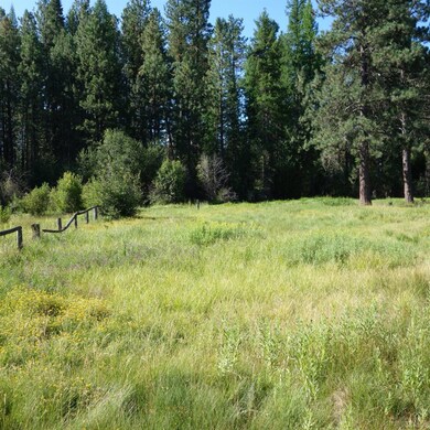 Tamarack4