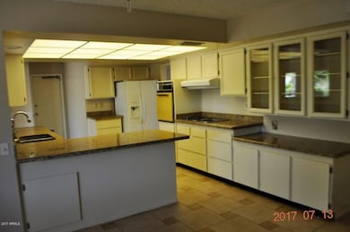 9723 W Terrace Ln, Sun City, AZ 85373 - photo 5