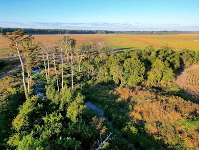 Quebec Rd, Tallulah, LA 71282 - photo 2