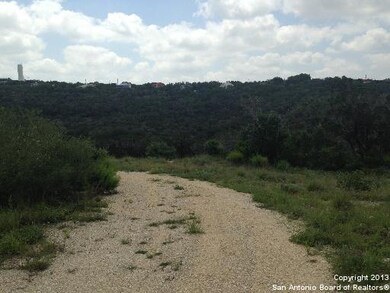 9866 Cash Mountain Rd, Helotes, TX 78023 - photo 3