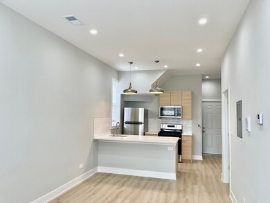 2238 W 24th St unit 2F, Chicago, IL 60608 - photo 5