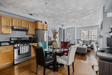 148 W 8th St unit 148, Boston, MA 02127 - photo 6