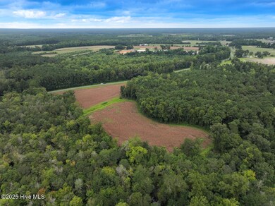 0 Stocking Head Rd, Greenevers, NC 28458 - photo 4