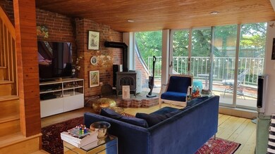 47 E Springfield St unit 3, Boston, MA 02118 - photo 6