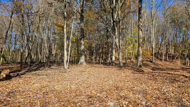 984 Nibert Rd unit (Ponds Poplar Ridge, Gallipolis, OH 45631 - photo 7