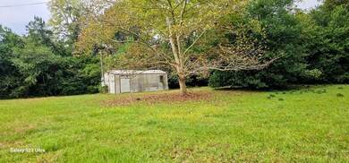 209 Pine St S, Bluffton, GA 39824 - photo 4