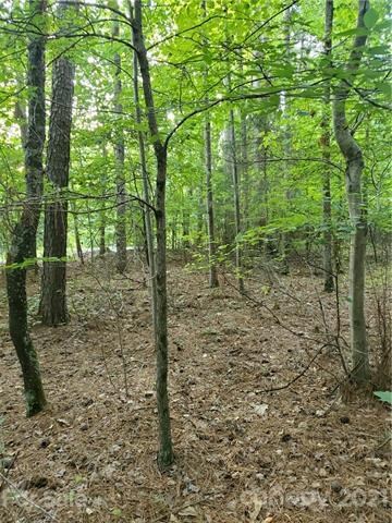 Lot #42 Cornett Dr unit 42, Iron Station, NC 28080 - photo 4