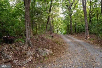 1528 Stringtown Rd, Berryville, VA 22611 - photo 3