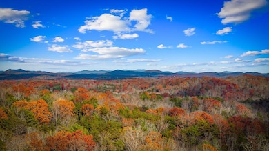 290 Weaver Creek Rd, Blue Ridge, GA 30513 - photo 3