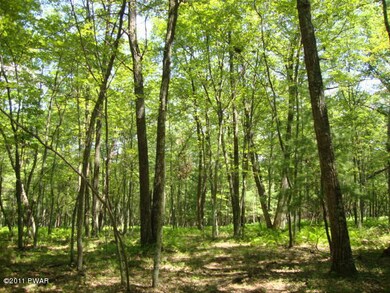 Lot 10 Briarcrest Dr, Lackawaxen Township, PA 18428 - photo 7