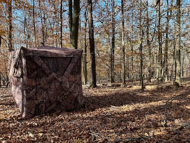 0 Dove Hill Rd unit 25439972, Royston, GA 30662 - photo 4