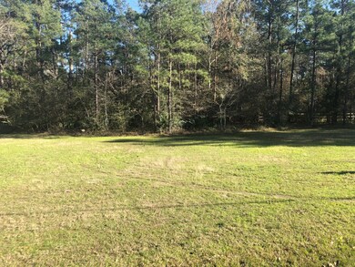 XXX Bob Link, Magnolia, TX 77484 - photo 3