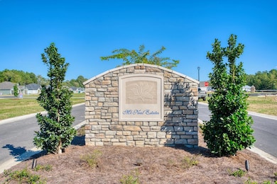 351 Barry Field Cir, Hahira, GA - photo 3