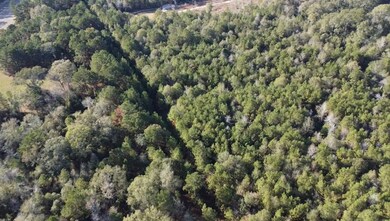 TBD Road 3813, Cleveland, TX 77328 - photo 6