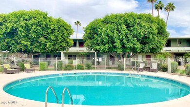 Tuckey Pool 2