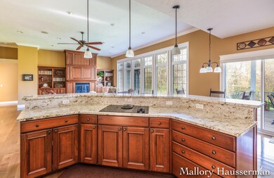 13259 Burroughs St NE, Lowell, MI 49331 - photo 7