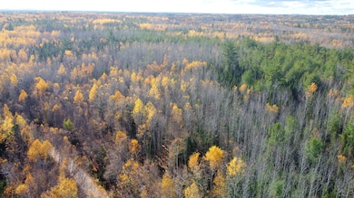 76 Wolf Run Trail, Greenbush, ME 04418 - photo 4