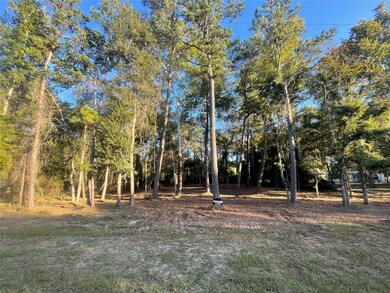 28024 Greenbriar Dr, Hockley, TX 77447 - photo 7